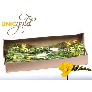 UG Barendse - Soleil 5x20 in box