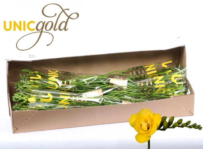 <h4>UG Barendse - Soleil 5x20 in box</h4>