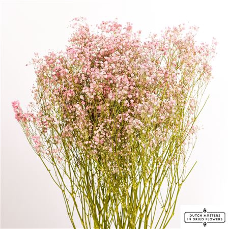 <h4>Dried Gyps Light Pink Bunch</h4>