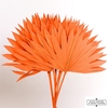 Dried Palm Sun 6pc Orange Bunch