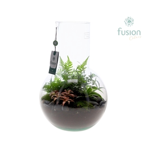 Green Bottle Suzanne Large met arrangement