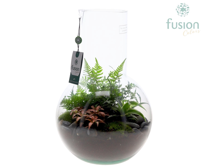 <h4>Green Bottle Suzanne Large met arrangement</h4>