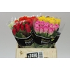 Rosa Gr Gemengd In Fust