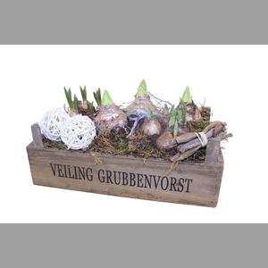 Arr.   Bol/Knolgewas L%