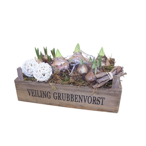 Arr.   Bol/Knolgewas L%