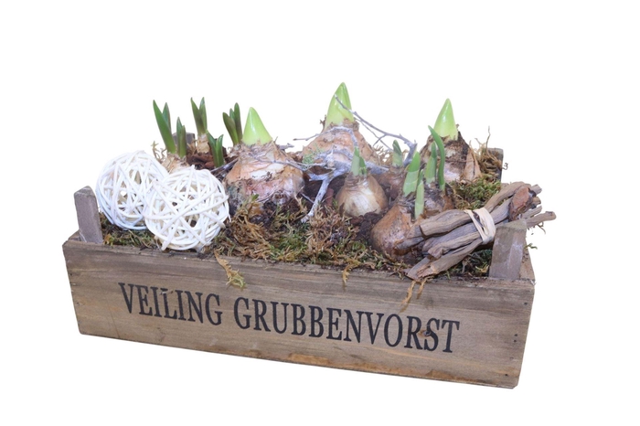 <h4>Arr.   Bol/Knolgewas L%</h4>