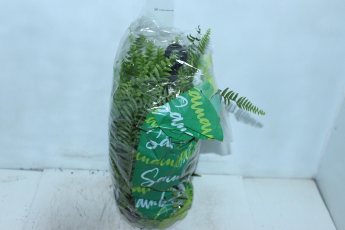 <h4>SAMAMBAIA AMERICANA C21</h4>