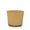 Glass pot conner d11 5 11cm