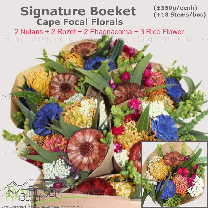 <h4>PROTEA PER BOS</h4>