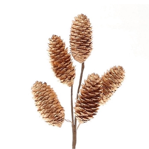 Pine cone Branch Picea pinecone 25cm