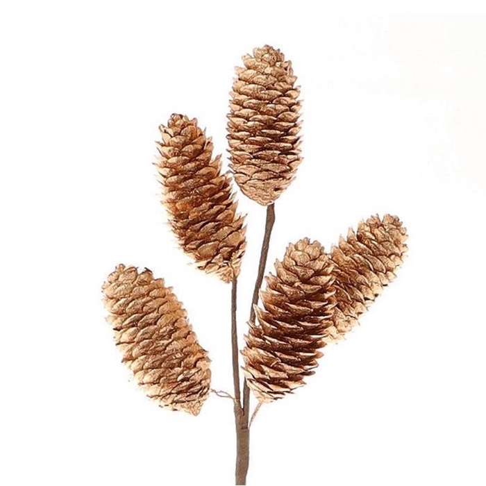 <h4>Pine cone Branch Picea pinecone 25cm</h4>