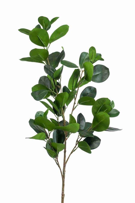 <h4>Ficus panda spray green 90cm</h4>
