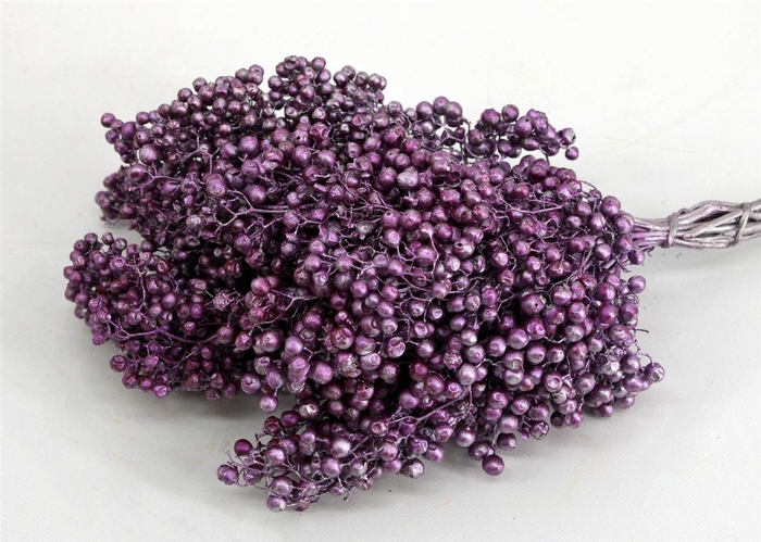 <h4>Schinus M Pt Metalic Purple Bunch</h4>