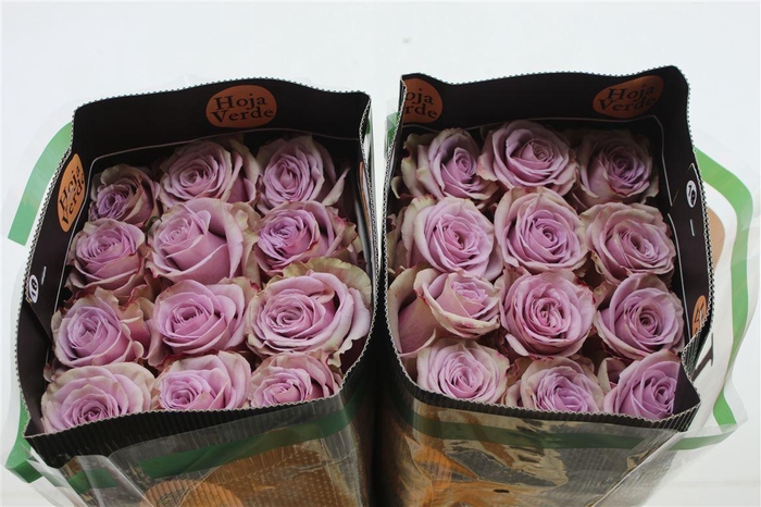 <h4>R Gr Eq Friends</h4>