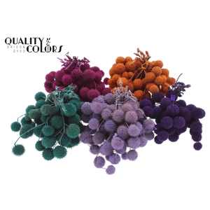Small ball per bunch in poly Assorted