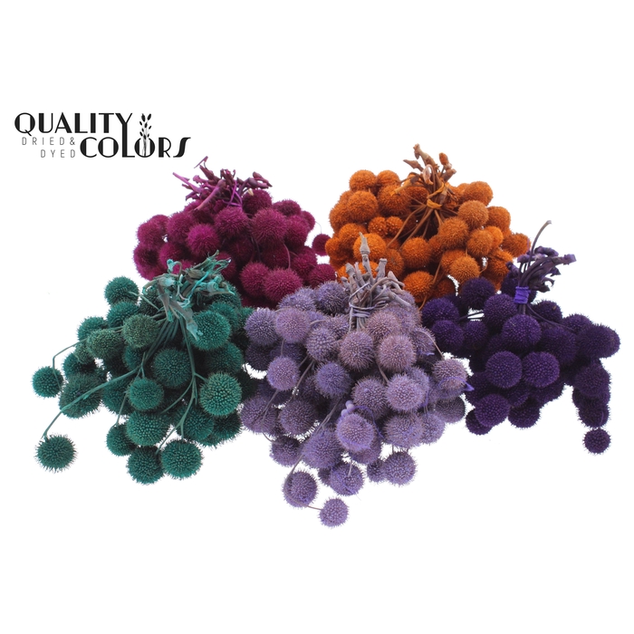 <h4>Small ball per bunch in poly Assorted</h4>