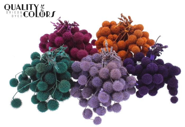 Small ball per bunch in poly Assorted
