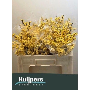 ILEX VE MAG CITRONEL