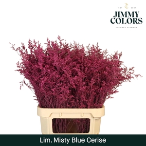 Lim Misty Blue L90 Cerise