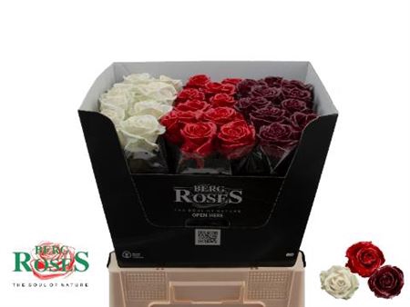 <h4>R Gr Gewaxt Mix 60 Cm</h4>