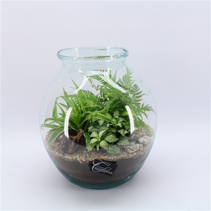 GRCR-2553 Green Essentials Terrarium