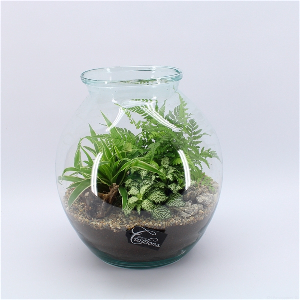 <h4>GRCR-2553 Green Essentials Terrarium</h4>
