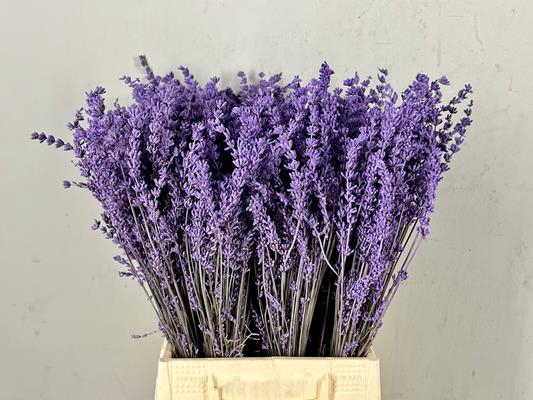 <h4>Df Lavender Bs Milka</h4>