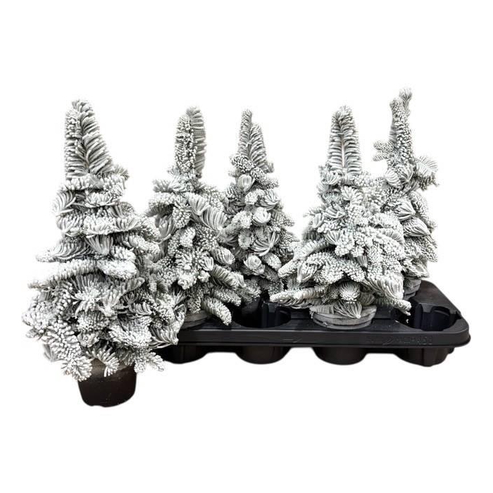 <h4>Snow Tree 11Ø 45cm</h4>