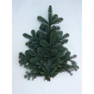 Nobilis Handbos