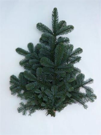 <h4>Nobilis Handbos</h4>