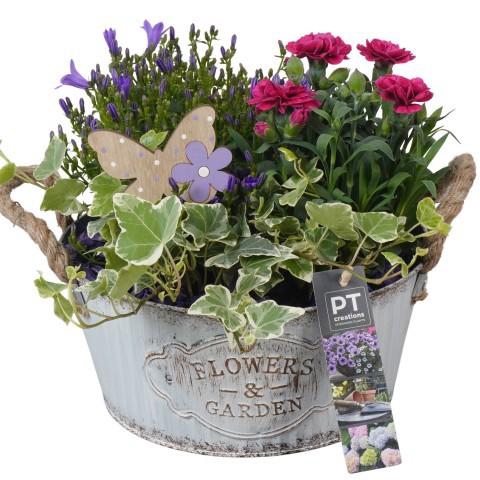 <h4>PTPP6882 Arrangement Patio in metalen schaal</h4>