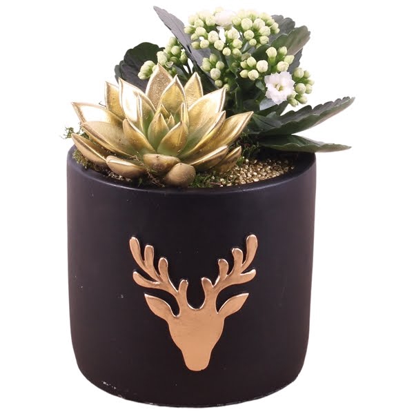 <h4>Christmas Arr.Indoor Ceramic Pot round reindeer black ø14cm 2PP</h4>