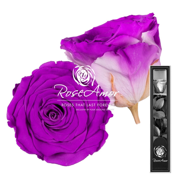 30cm Stem Bic05