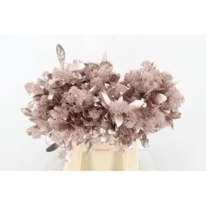 Skim Champagne per bunch