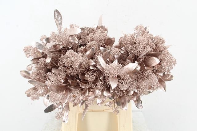 <h4>Skim Champagne per bunch</h4>