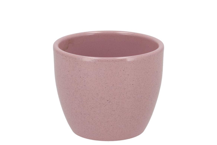 <h4>Ceramic Rosa Stone Pot 10cm</h4>