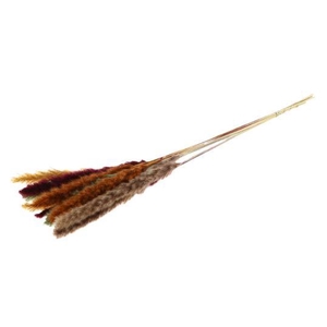 Fluffy Pampas Autumn Mix