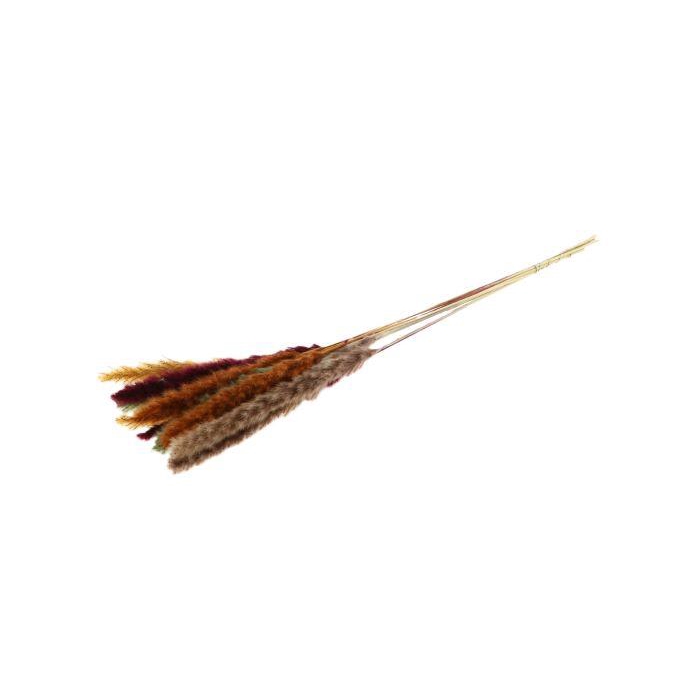 <h4>Fluffy Pampas Autumn Mix</h4>