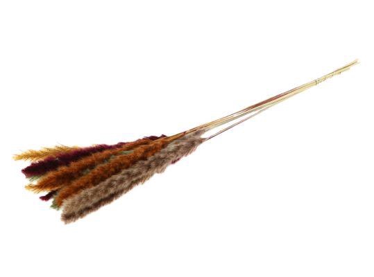 Fluffy Pampas Autumn Mix