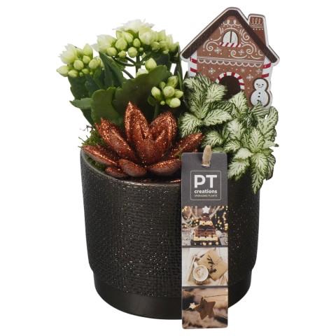 <h4>PTCHB9758 Arrangementen Kerst</h4>