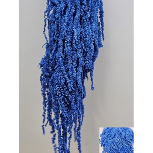 GESTABILISEERD AMARANTHUS (H) BLAUW