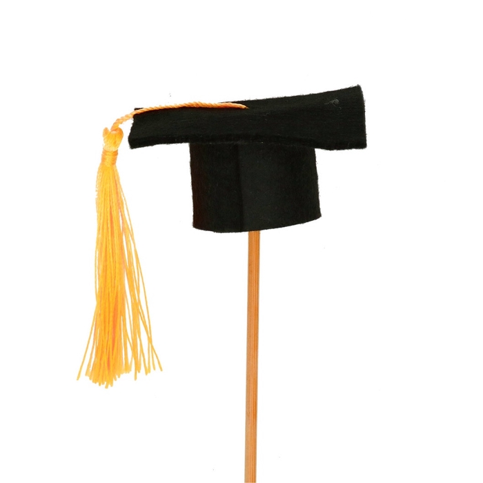 <h4>Bijsteker 50cm Graduate 6.5cm</h4>