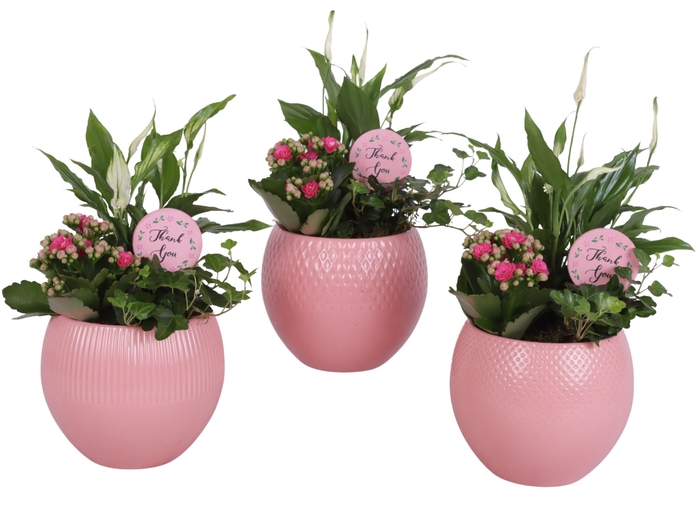 <h4>Opm Mothersday Arr. Indoor Ceramic Ball</h4>