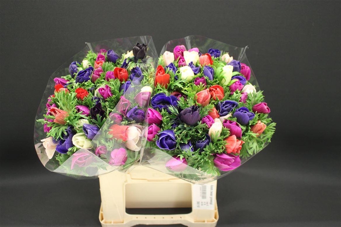 <h4>Anem Zwaar Gemengd</h4>