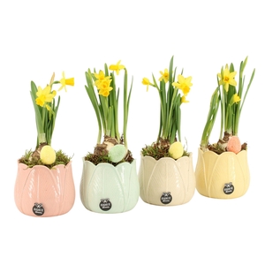 70844: Easter arrangement