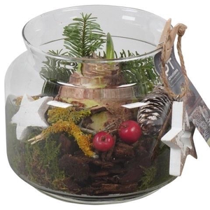 Opm Pt PTACH5926 Hipp X-mas Glas Vaas