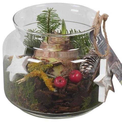 <h4>Opm Pt PTACH5926 Hipp X-mas Glas Vaas</h4>