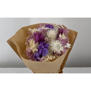 Dr Bq Bleach Big 11 Light Violet Naturale