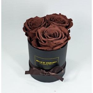 Box rd 10cm zwart-grape (grp02)