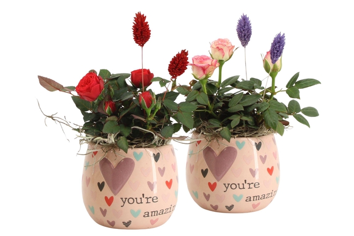 <h4>21584: Lovess arrangement</h4>